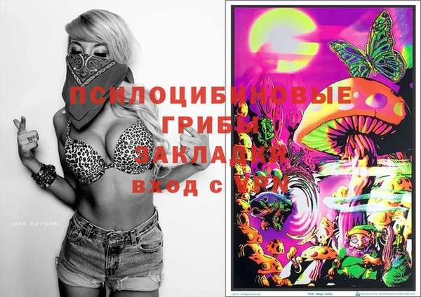 гидропоника Елизово