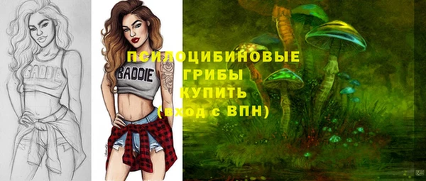 дурь Елабуга