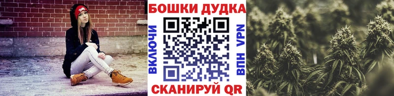 Каннабис семена  Купить закладки  Полярный 